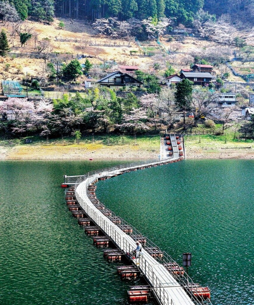 走在奧多摩湖湖面上的歩行者専用浮橋，享受大自然環抱。（東京觀光財團提供）　